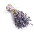 Kép 2/2 - Lavandula x intermedia bio illóolaj 10 ml