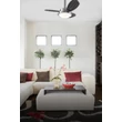 Kép 7/7 - Mennyezeti ventilátor Westinghouse Wenque Ø 76 cm, bükk, wenge
