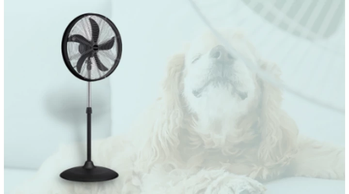 Fontos tudnivalók álló ventilátorok vásárlásakor